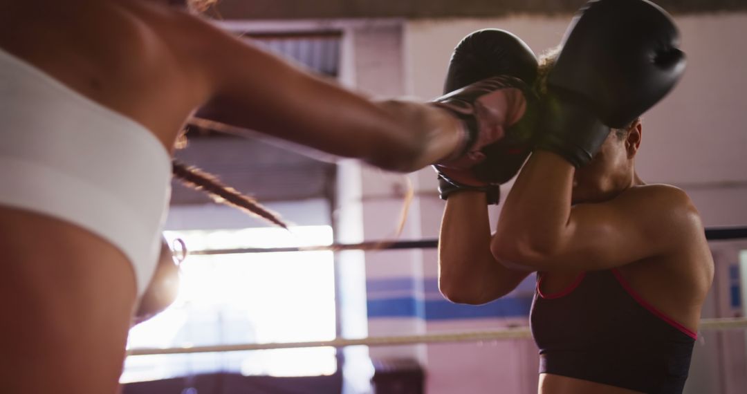 Two Female Boxers Sparring in Gym Ring - Free Images, Stock Photos and Pictures on Pikwizard.com