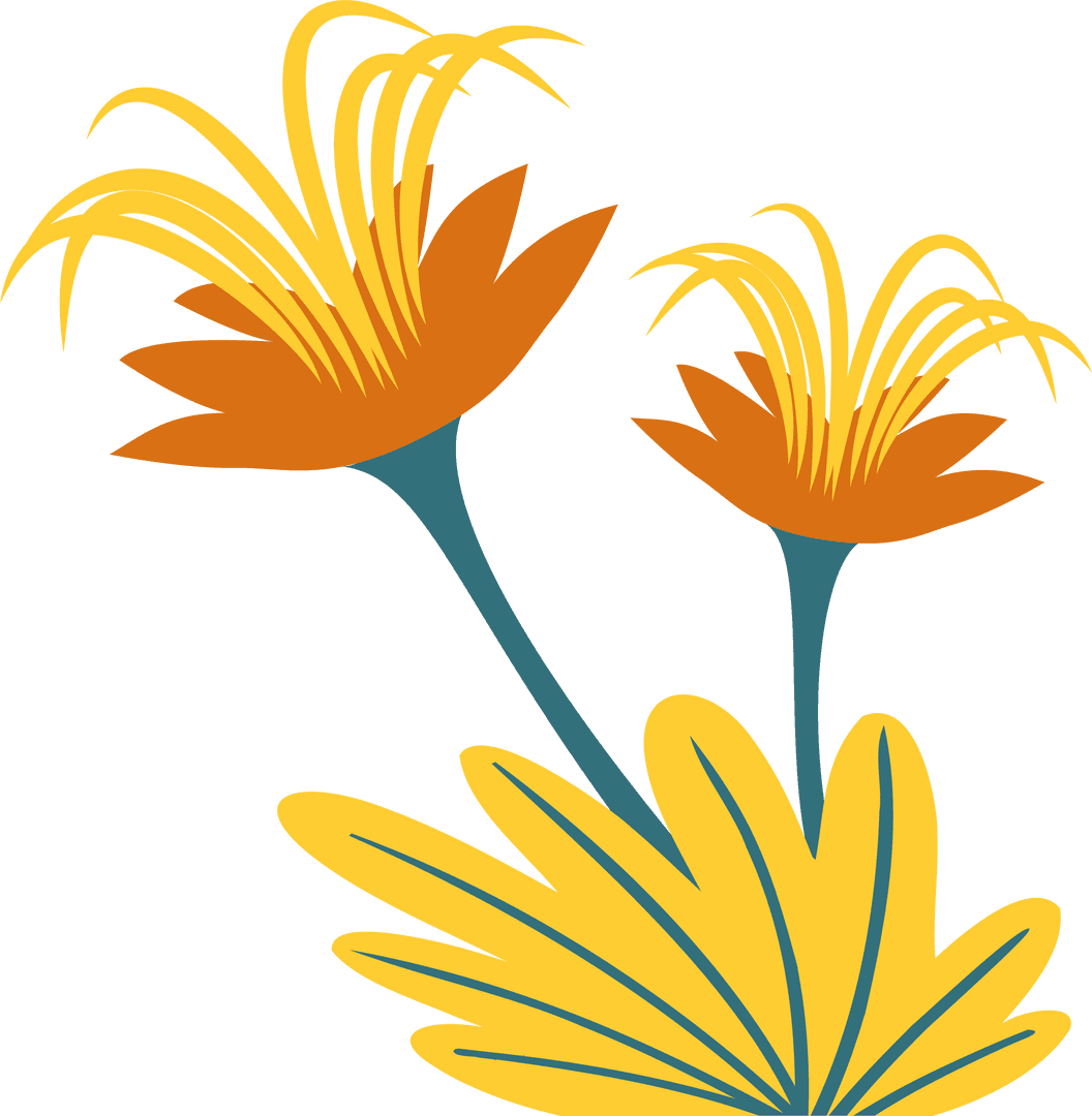 Stylized Yellow Flowers on Transparent Background