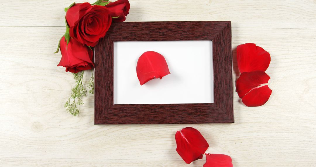 A wooden picture frame is surrounded by vibrant red rose petals and full roses, with copy space - Free Images, Stock Photos and Pictures on Pikwizard.com