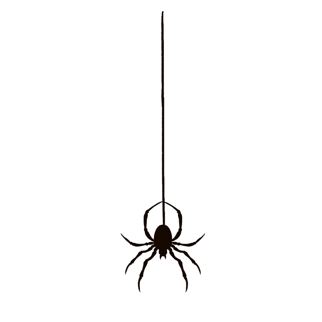 Minimalist Spider Silhouette Dangling from Silk Thread on Transparent Background
