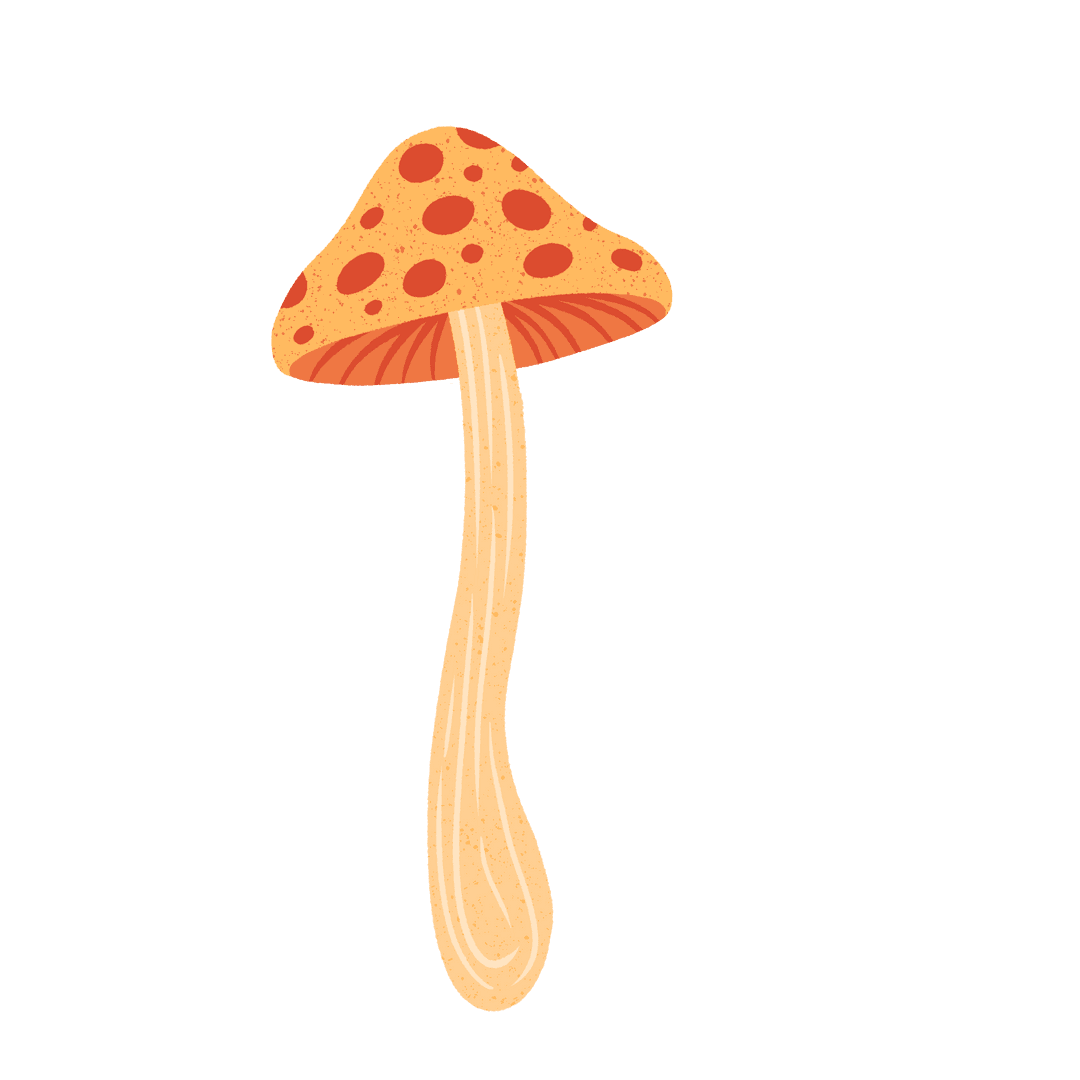 Whimsical Mushroom with Polka Dot Cap on Transparent Background