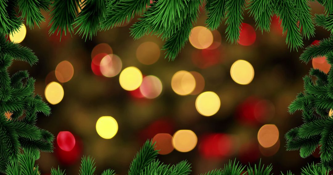 Festive Christmas Bokeh with Fir Branches Highlighting Holiday Cheer