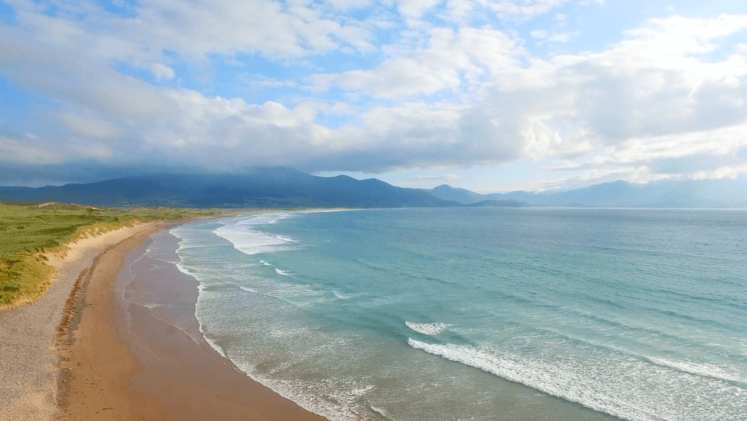 Transparent Folly Beach Waves Gently Lapping Edwardian Sunlight