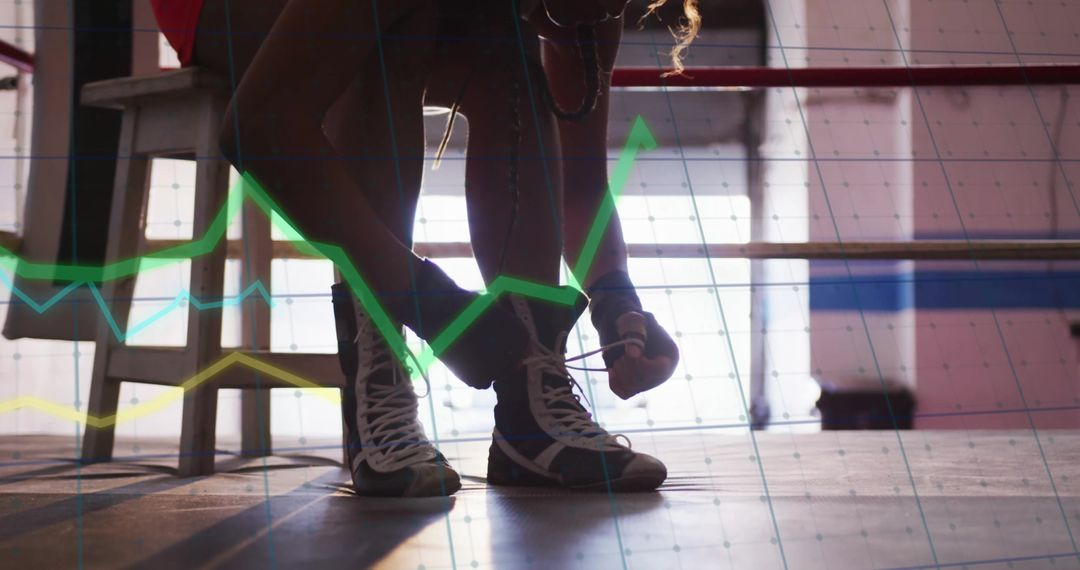 Boxer Ready for Training with Motivation and Progress Graph