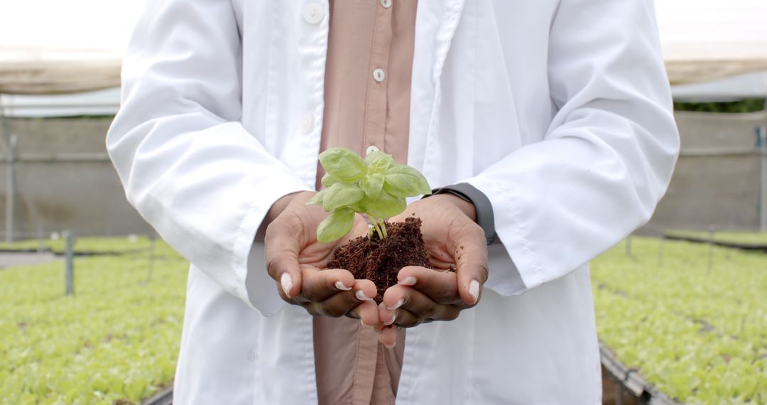 Scientist Holding Seedling at Modern Hydroponic Farm