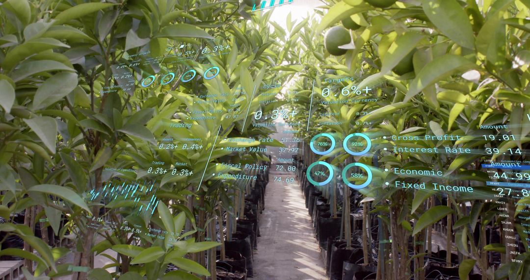 Greenhouse Citrus Saplings with Augmented Reality Analytics Display for Smart Farming