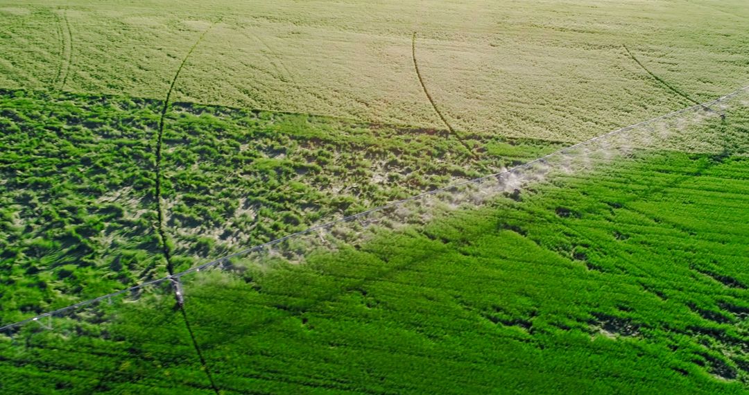 Aerial View of Green Agricultural Fields and Irrigation Lines - Free Images, Stock Photos and Pictures on Pikwizard.com