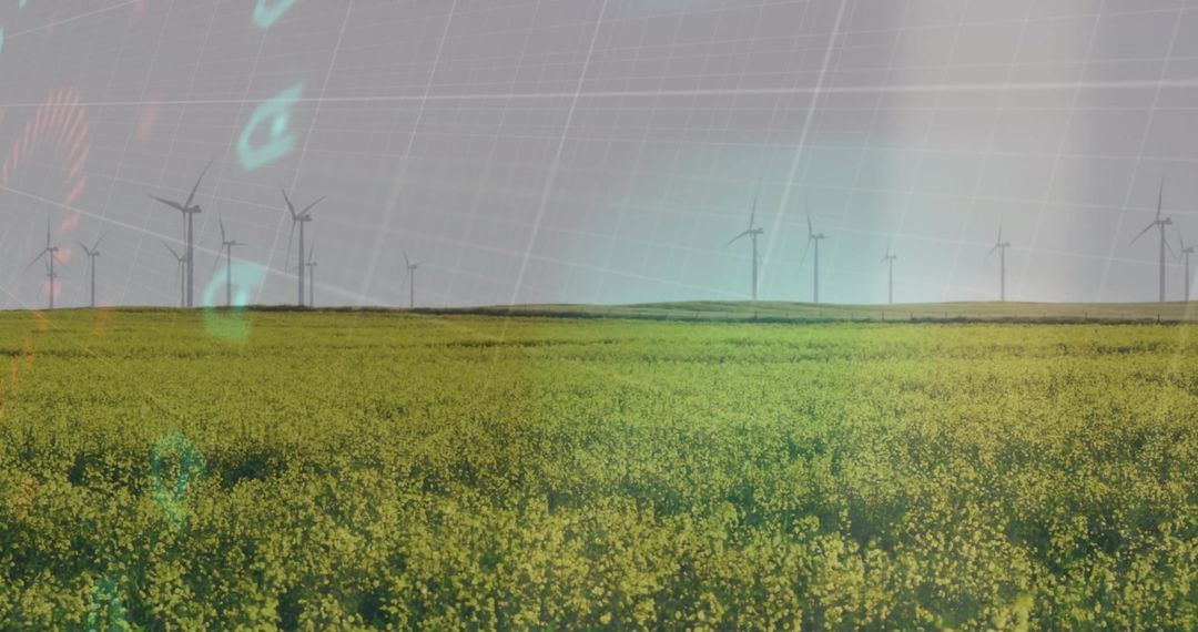 Canola Field with Wind Turbines and Teal Grid Overlay Representing Renewable Energy Transition