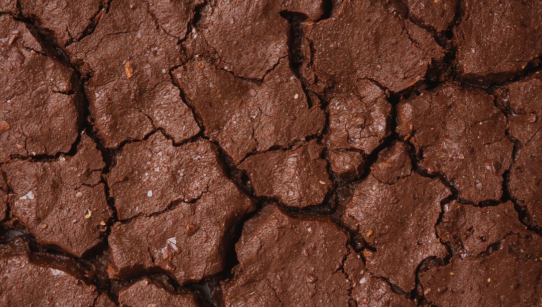 Parched earth cracking into polygonal plates revealing deep fissures with wet subtle sheen