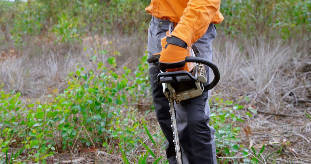 Worker Holding Chainsaw While Clearing Brush in Overgrown Area - Free Images, Stock Photos and Pictures on Pikwizard.com