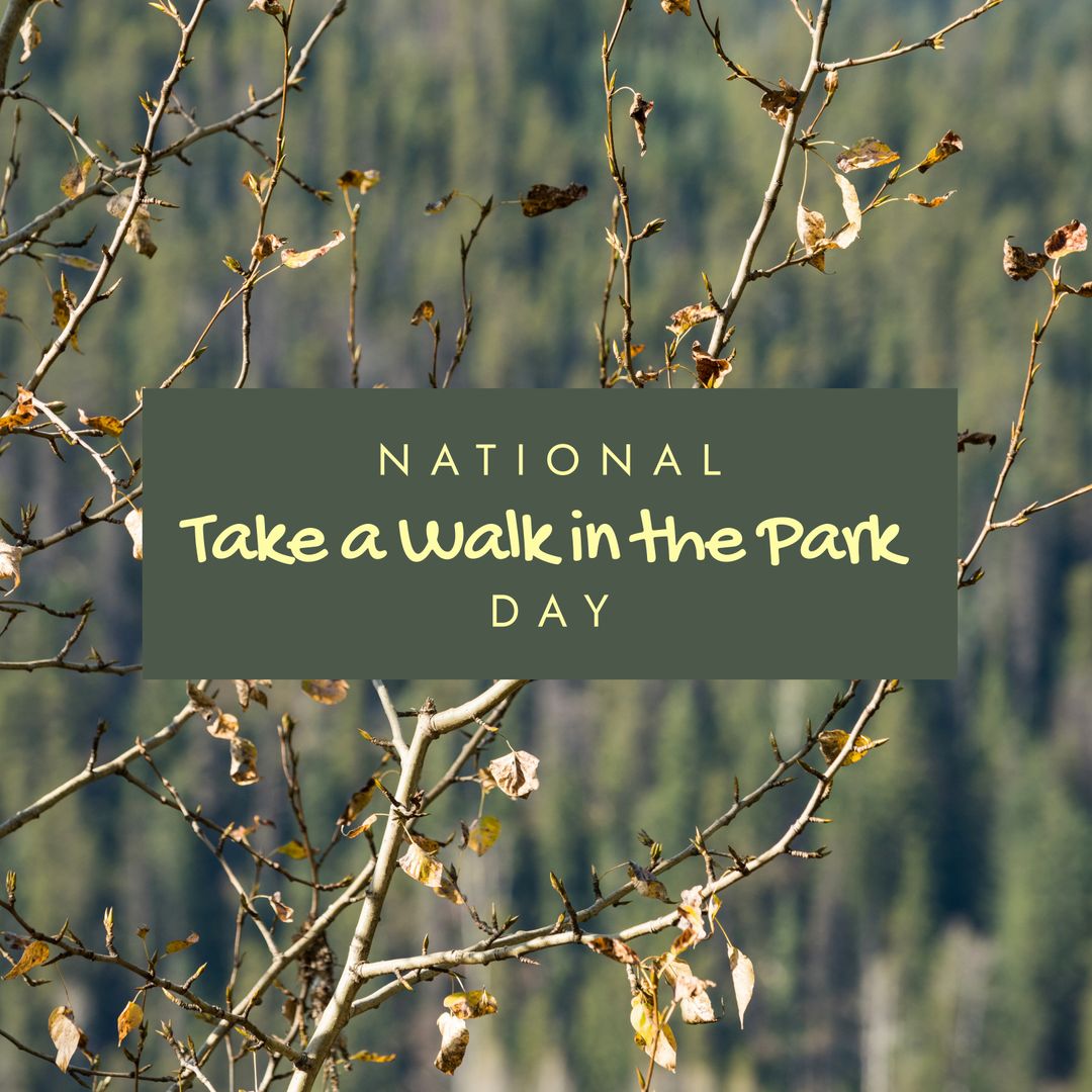 Celebrating National Take a Walk in the Park Day