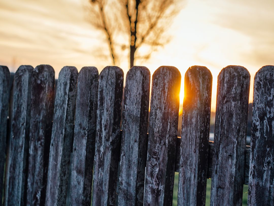 Weathered Wooden Fence at Sunset with Backlit Tree in Background - Free Images, Stock Photos and Pictures on Pikwizard.com