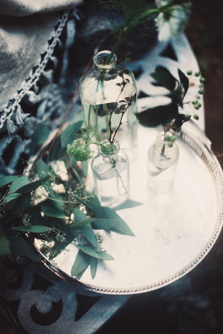 Vintage Glass Bottles with Greenery on Silver Tray - Free Images, Stock Photos and Pictures on Pikwizard.com