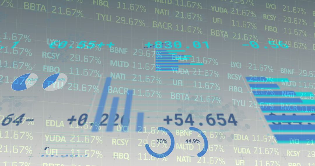 Digital Financial Data Analysis and Statistics Display