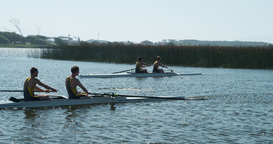 Team of Athletes Rowing in Open Water During Competition - Free Images, Stock Photos and Pictures on Pikwizard.com