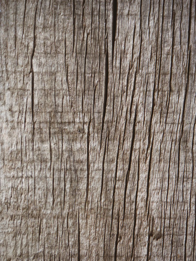 Close-up of Weathered Wood Texture with Natural Patterns - Free Images, Stock Photos and Pictures on Pikwizard.com