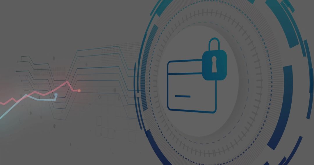 Digital Credit Card Security Interface with Encrypted Data Rings