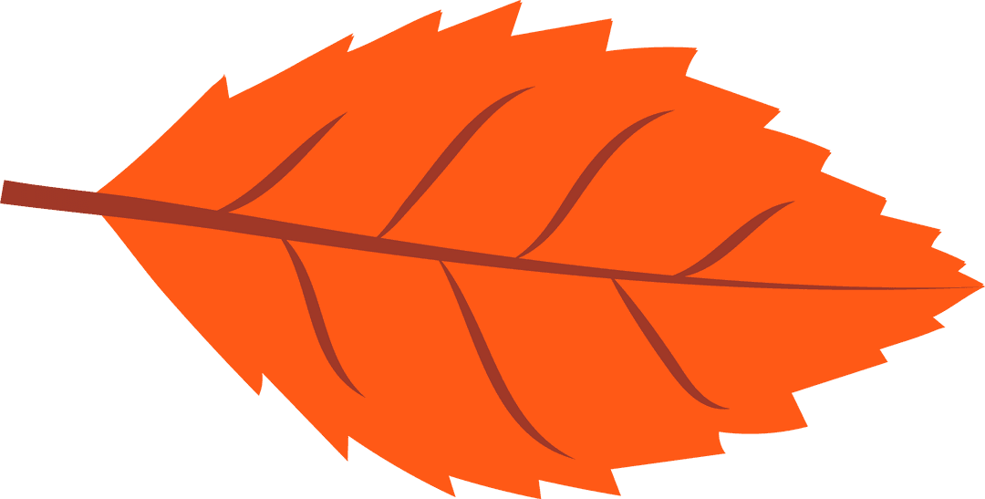 Transparent Orange Autumn Leaf Illustration with Jagged Edges