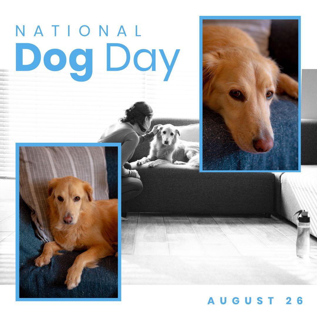 National Dog Day Celebration Portrait with Golden Retriever