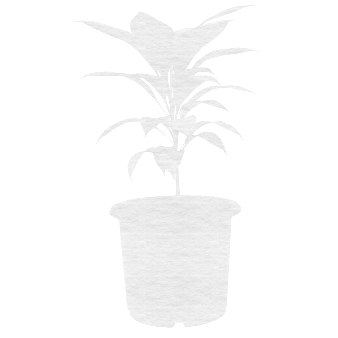 Transparent Digital Illustration of Potted Plant for Nature and Interior Decor - Download Free Stock Images Pikwizard.com