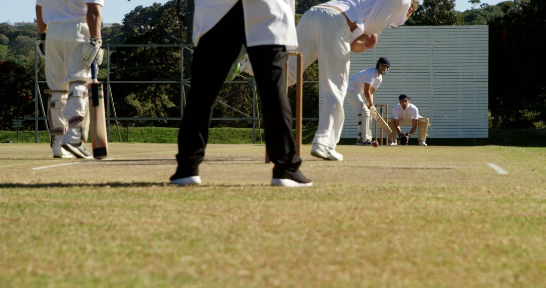 Batsman awaiting a delivery during a cricket match - Free Images, Stock Photos and Pictures on Pikwizard.com