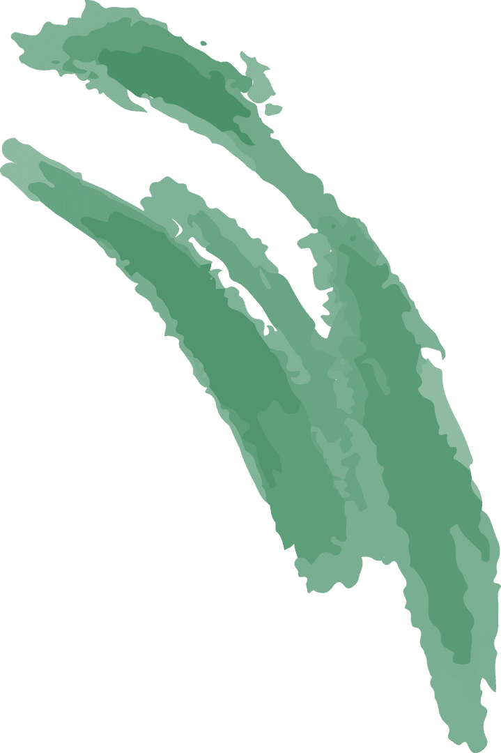 Green Textured Brushstrokes with Transparent Background