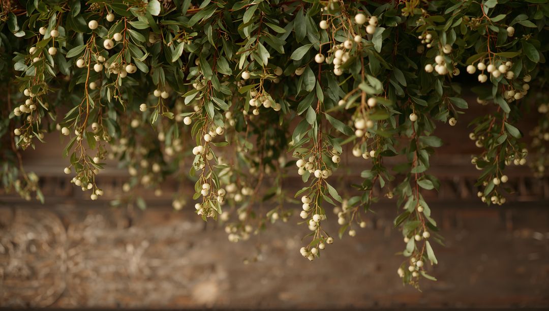 Cascading green garland with cream berries draping over ornate carved wooden mantelpiece