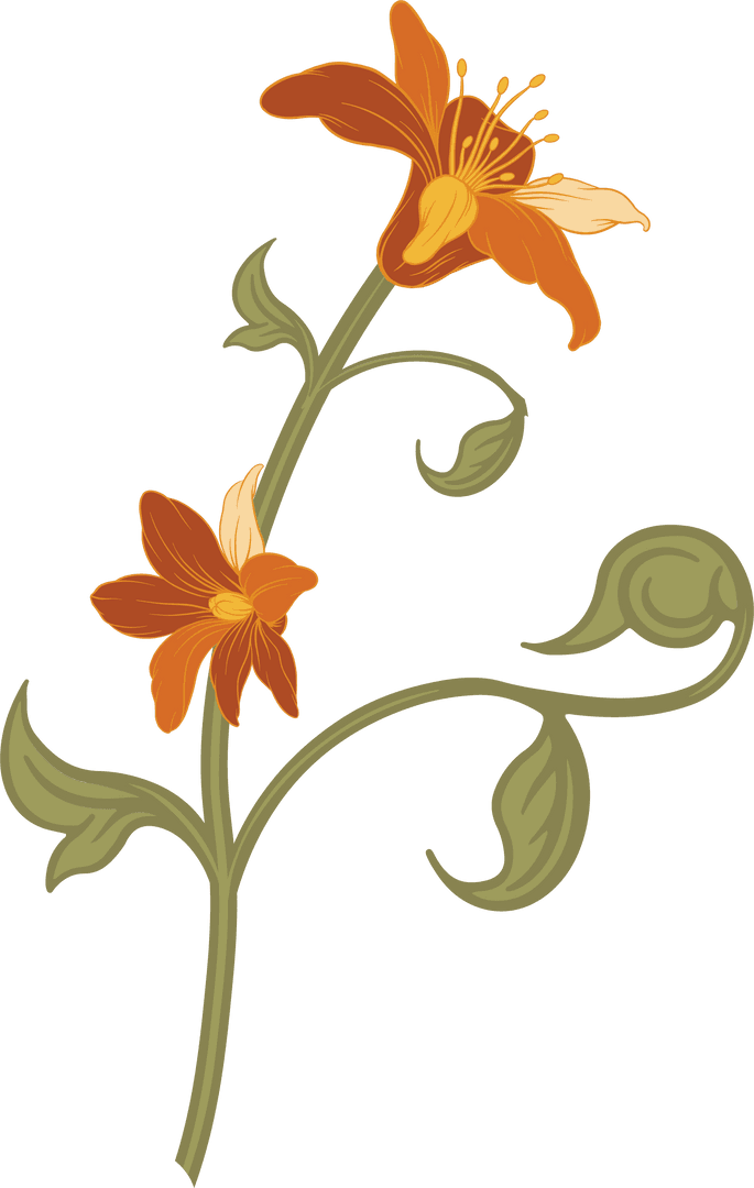 Elegant Transparent Floral Design with Vibrant Orange Lilies
