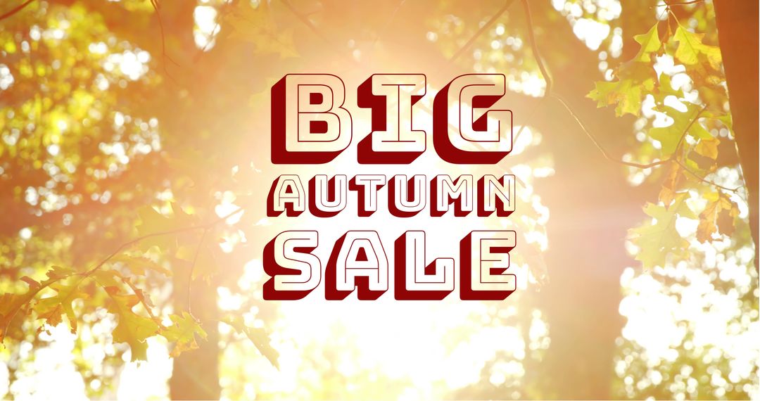 Big Autumn Sale with Sunlit Forest Background