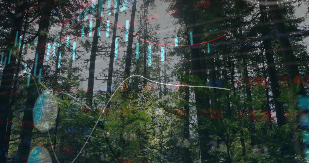 Temperature Woodland with Digital Graph Overlays Representing Ecological Data