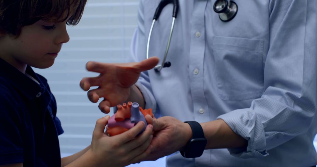 Child Learning About Heart Anatomy from Doctor with Stethoscope - Free Images, Stock Photos and Pictures on Pikwizard.com