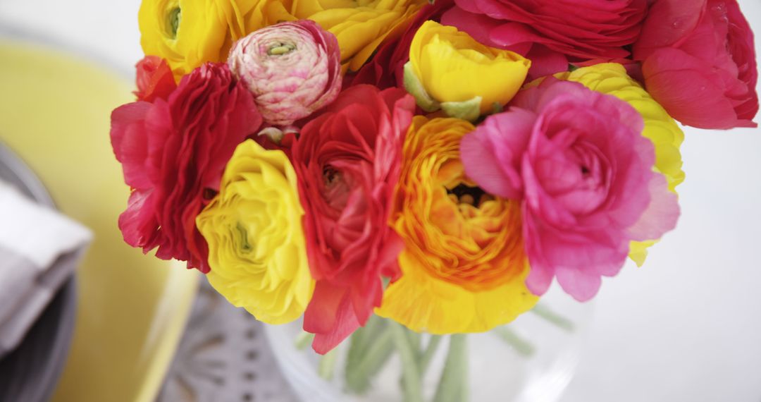 Pink and yellow ranunculus flowers enhance the setting with charm and space for text. - Free Images, Stock Photos and Pictures on Pikwizard.com