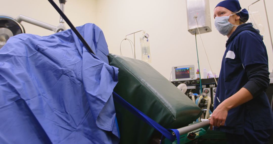 Veterinary Surgeon Examining Horse in Operation Theater
