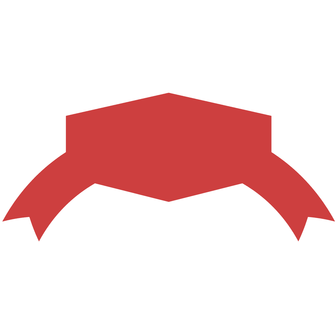 Red Abstract Pattern Digital Illustration on Transparent Background