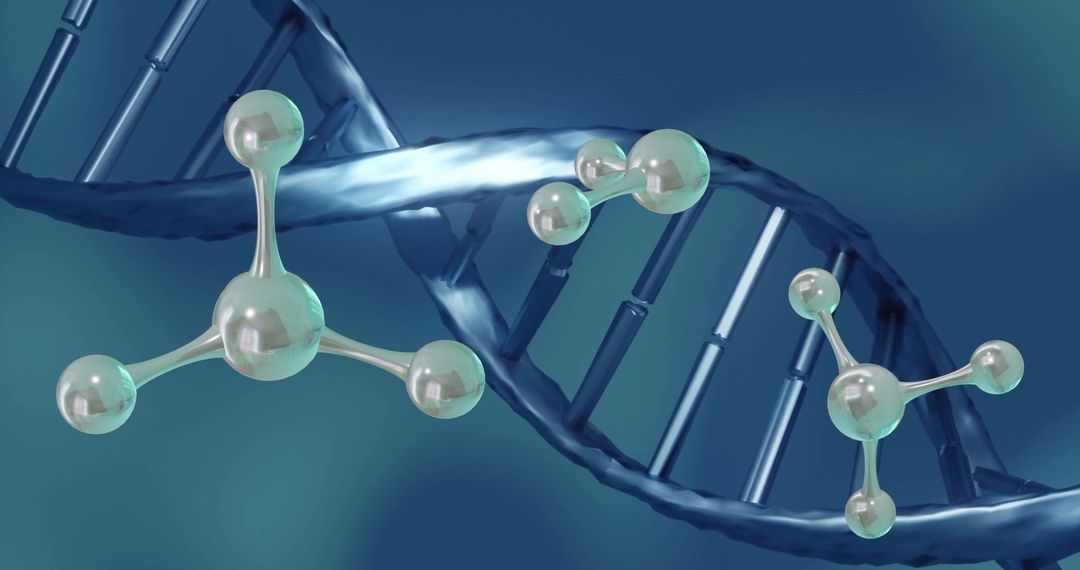 Molecules Interacting with Spinning DNA Strand