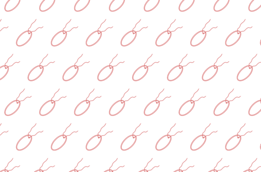 Diagonal Red Tags on Transparent Background for Text - Download Free Stock Images Pikwizard.com