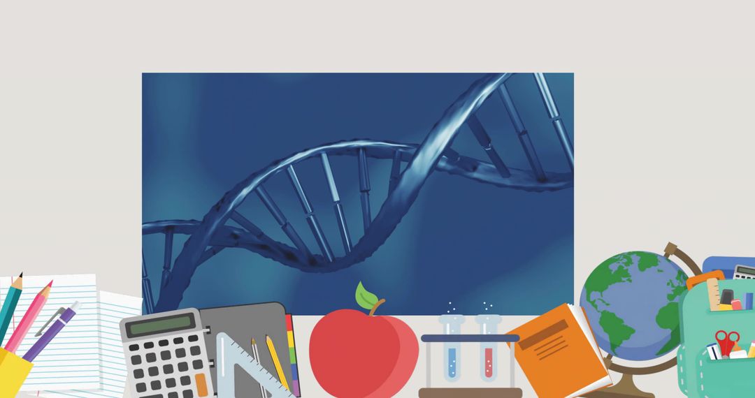 DNA Double Helix on Classroom Desk for STEM Education