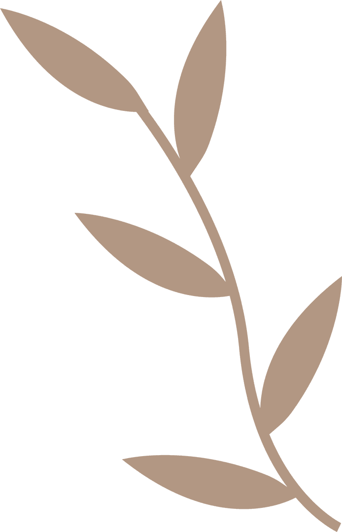 Beige Botanical Leaf Vector with Transparent Background