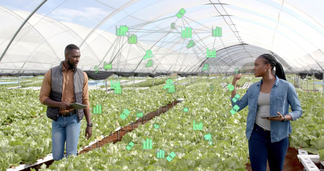 Farming Technology Analyzing Data in Hydroponic Greenhouse Tunnel