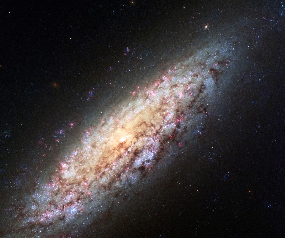 Spiral Galaxy NGC 6503 Bathed in Cosmic Dust and Stars - Free Images, Stock Photos and Pictures on Pikwizard.com
