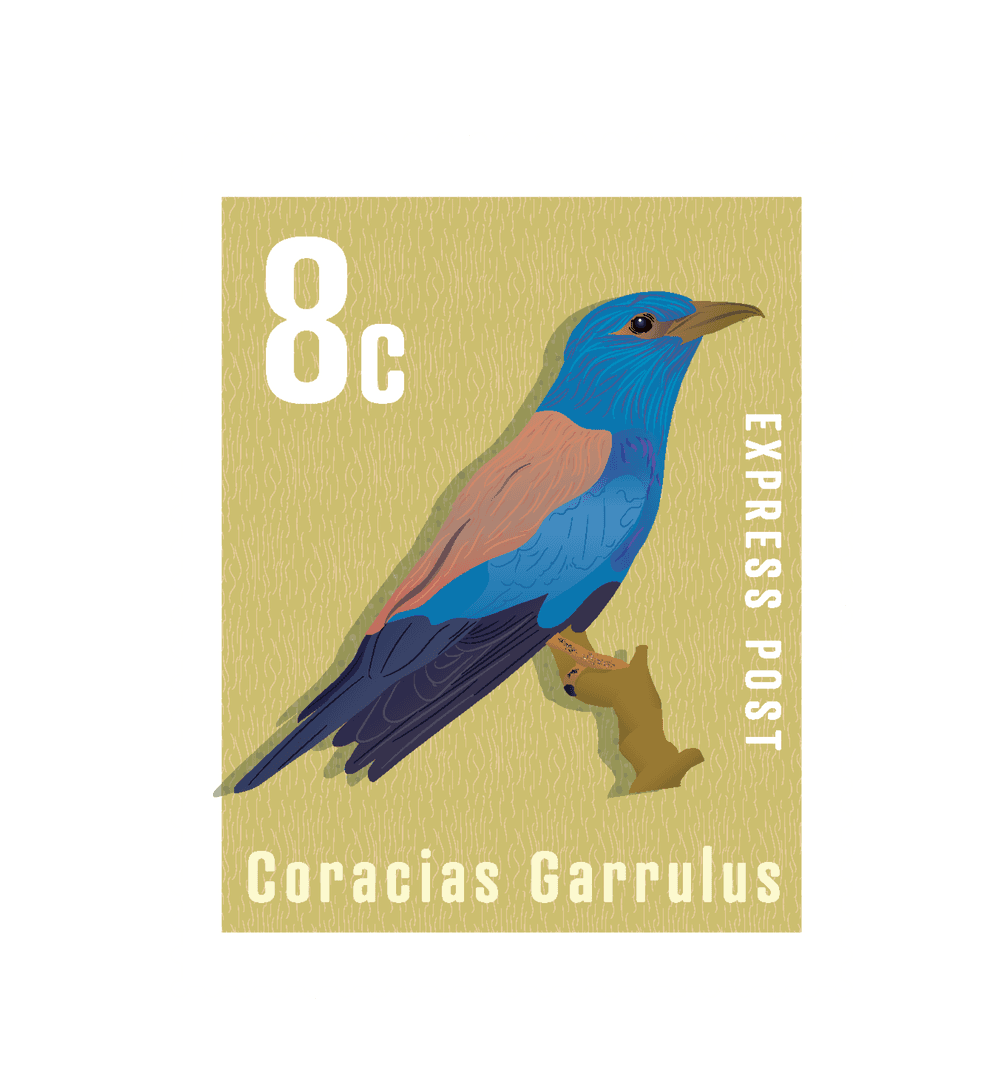 Colorful Bird Stamp Illustration on Transparent Background