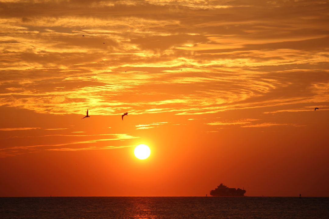 Golden Sunset Over Ocean Horizon with Ship and Birds - Free Images, Stock Photos and Pictures on Pikwizard.com