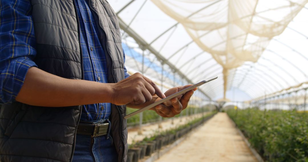 Farmer Using Tablet to Monitor Greenhouse Crops - Free Images, Stock Photos and Pictures on Pikwizard.com