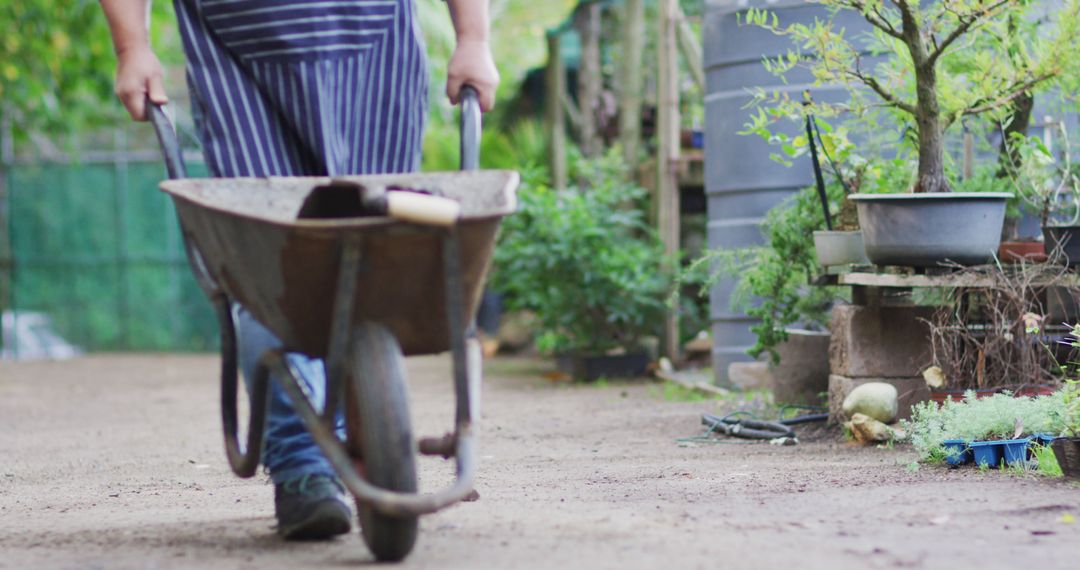 Gardener Pushing Wheelbarrow on Dirt Path in Lush Backyard - Free Images, Stock Photos and Pictures on Pikwizard.com