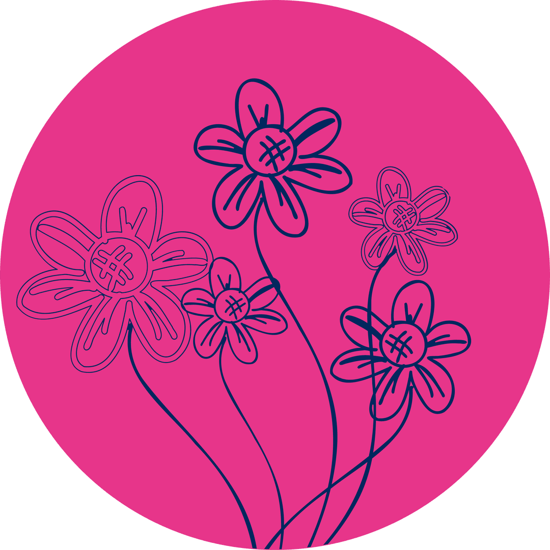 Minimalistic Doodle Daisies on Transparent Background
