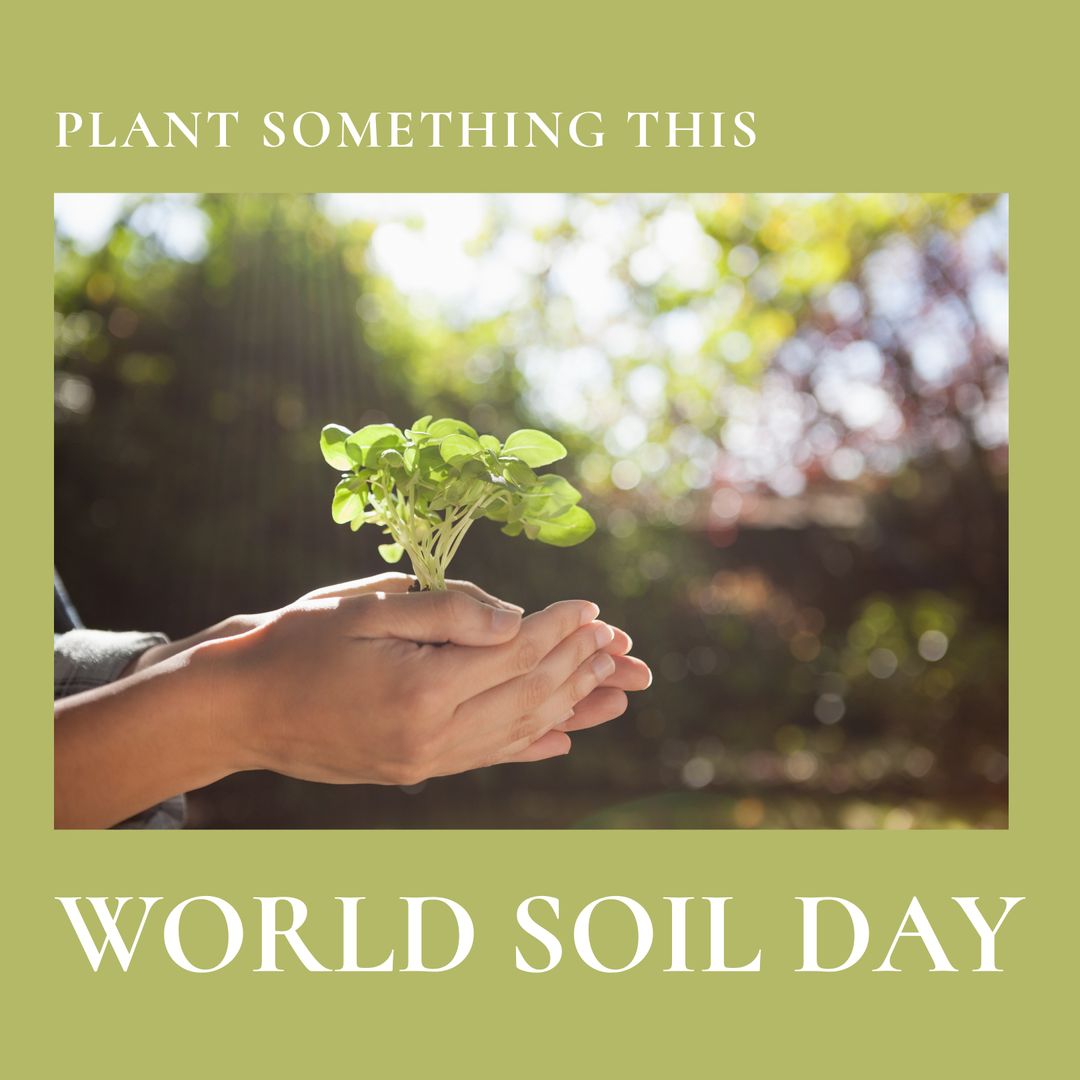 Celebrating World Soil Day with Planting Hands in Garden