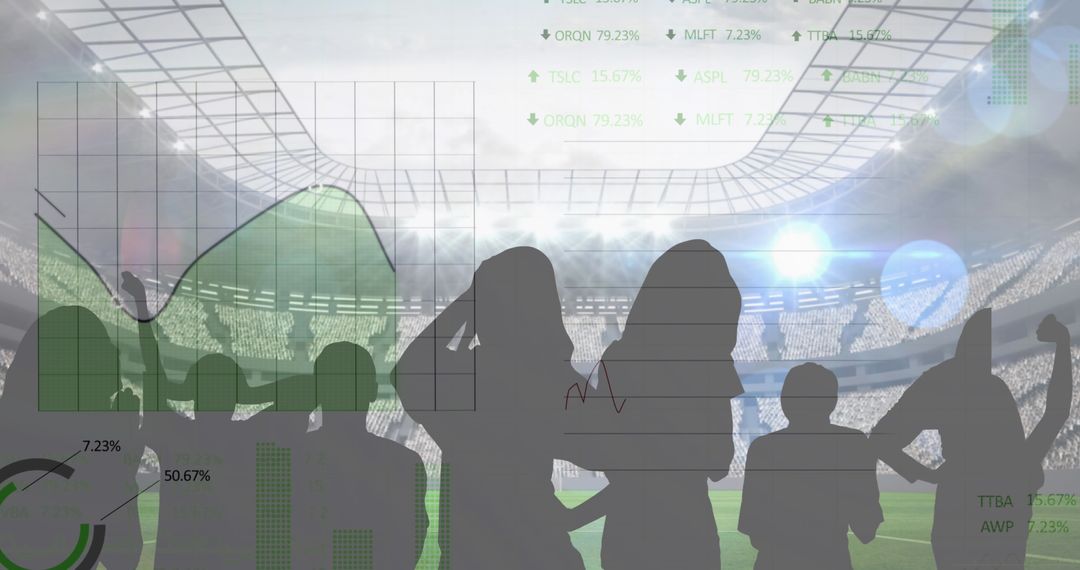 Silhouette of Fans with Digital Graphs at Sports Stadium