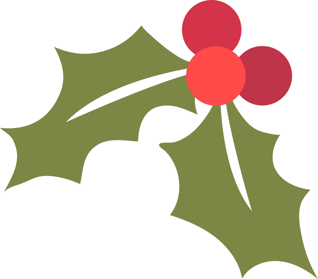 Festive Holly Sprig with Red Berries on Transparent Background