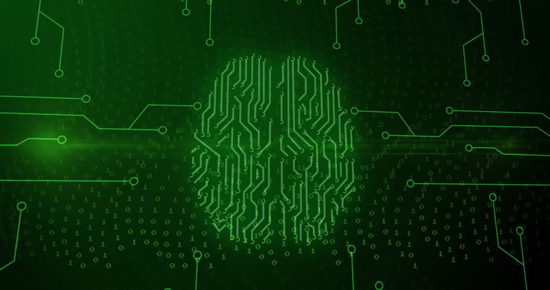 Digital Brain with Circuit Network and Connections