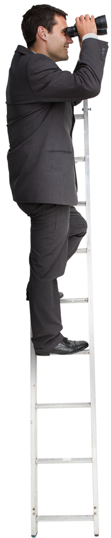 Transparent Background Businessman on Ladder Using Binoculars - Download Free Stock Images Pikwizard.com